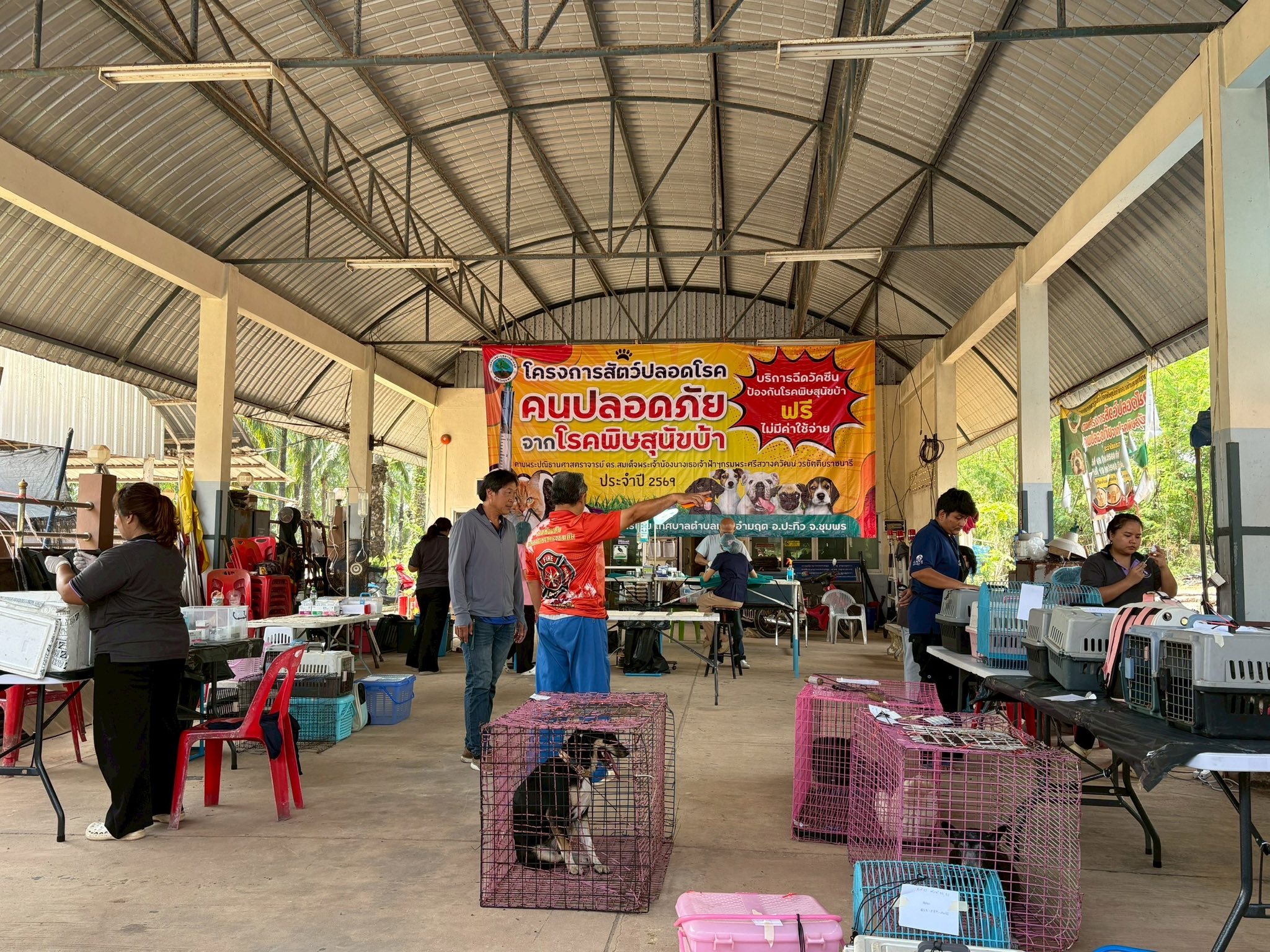 โครงการสัตว์ปลอดโรค คนปลอดภัย จากโรคพิษสุนัขบ้าฯ ประจำปีงบประมาณ 2569